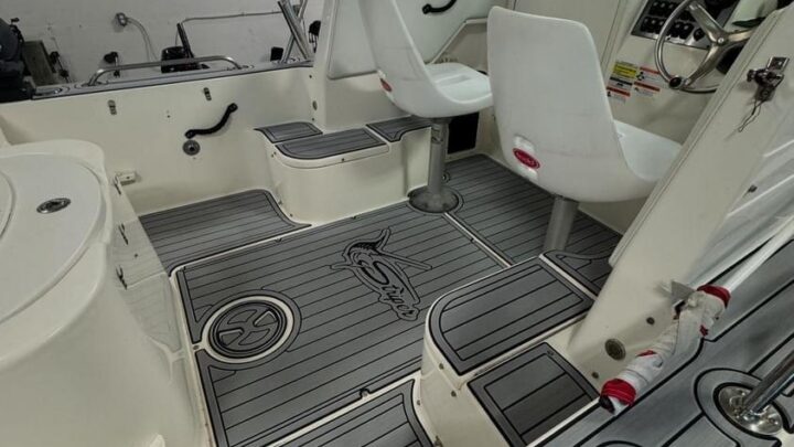 IMG_20241206_165449_333 copy